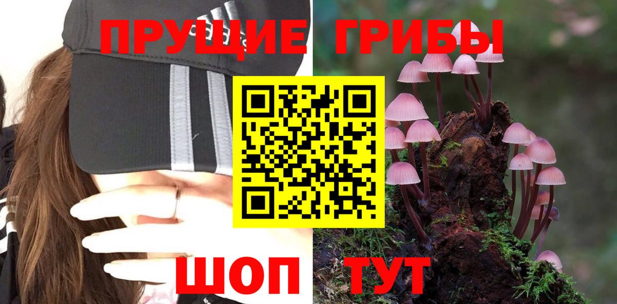 Россия  Псилоцибиновые грибы Cubensis  Псилоцибиновые грибы мухоморы  Вход с VPN 