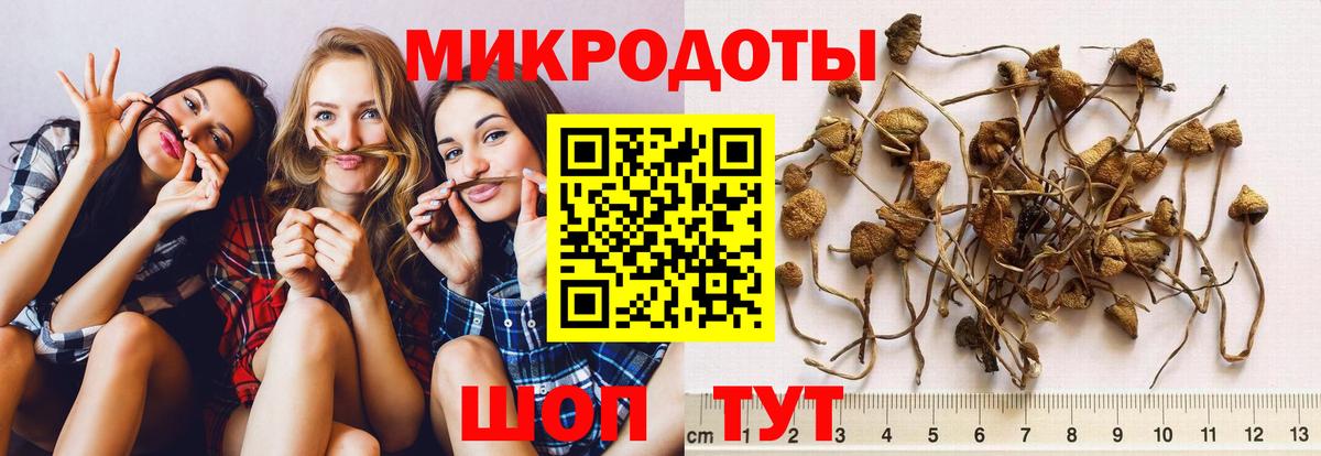 Галлюциногенные грибы ЛСД Россия