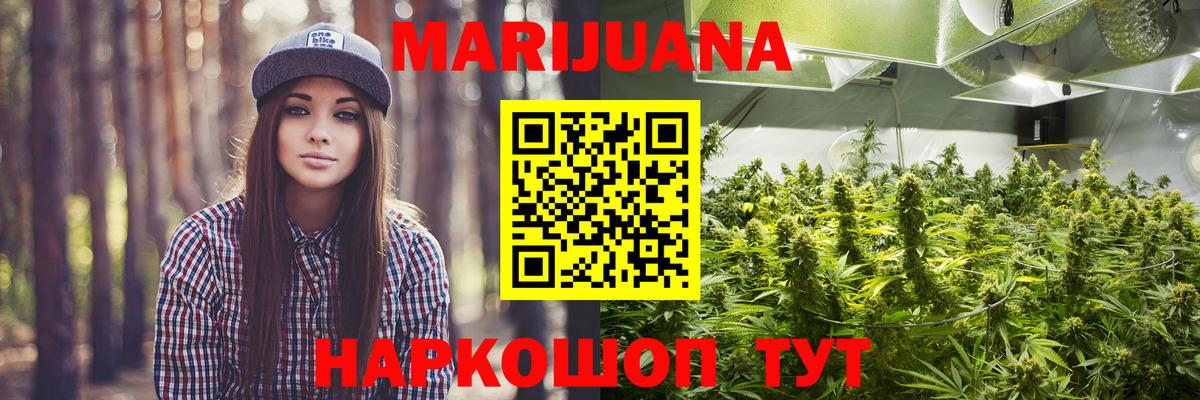 Канабис OG Kush Россия